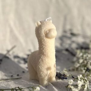 Kaars Wooly