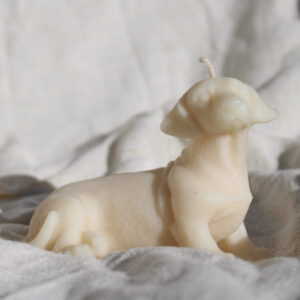 Kaars Louis